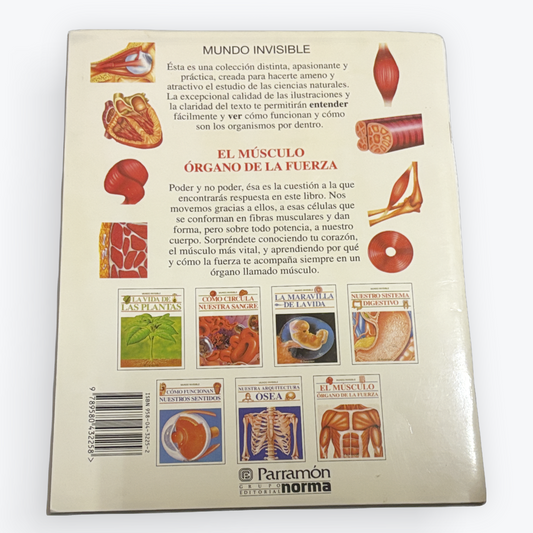 The back cover of a Spanish-language book titled 'Mundo Invisible' by Paramén Normá, featuring educational illustrations of human organs and muscles on a cream-colored background.