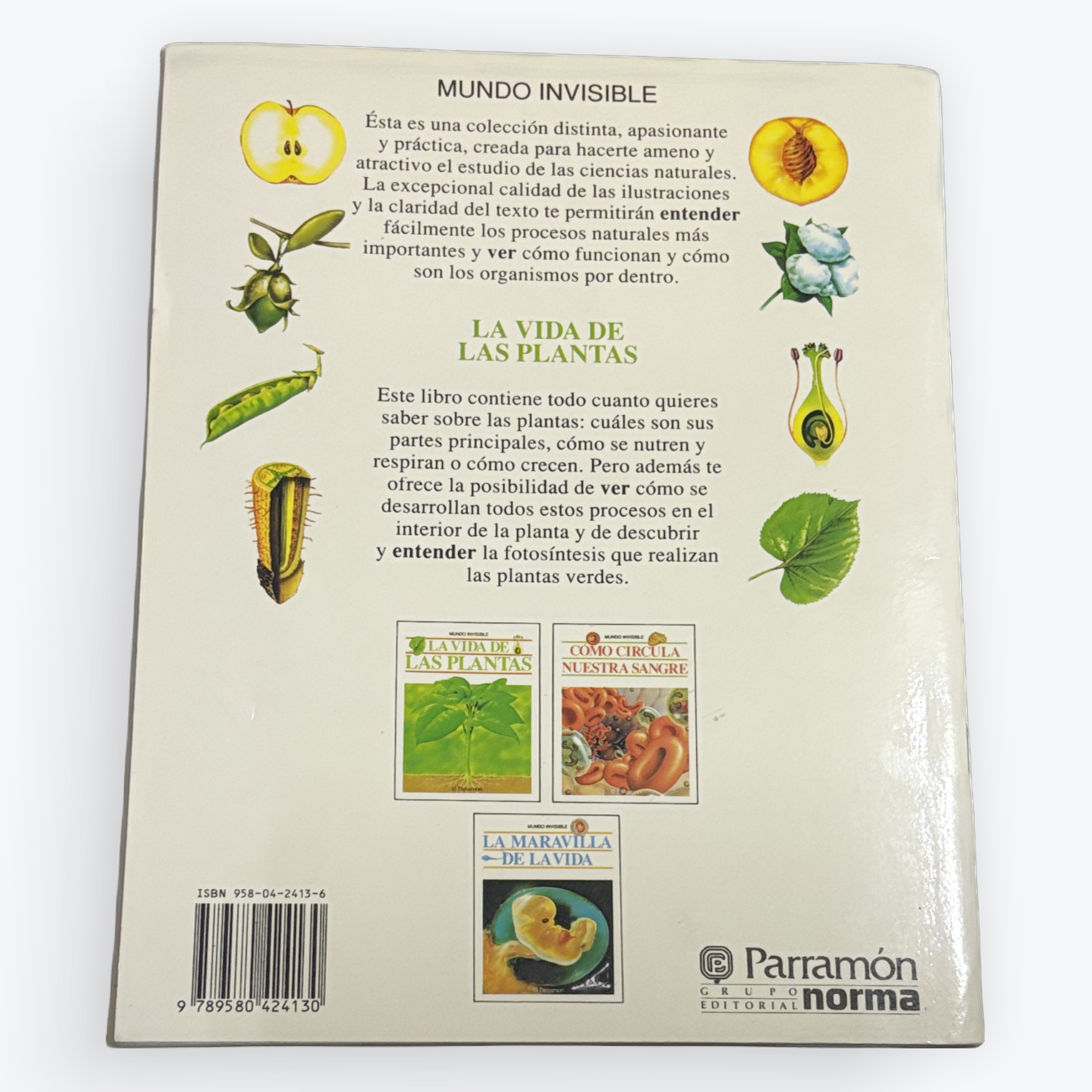 The back cover of a Spanish-language book titled 'Mundo Invisible' by Parramón Norma, featuring illustrations of plant parts and small postage stamp designs on a cream-colored background.