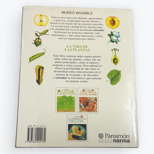 The back cover of a Spanish-language book titled 'Mundo Invisible' by Parramón Norma, featuring illustrations of plant parts and small postage stamp designs on a cream-colored background.
