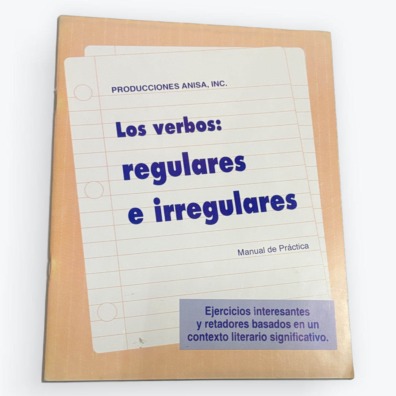 A Spanish-language workbook titled 'Los verbos: regulares e irregulares' by Producciones Anisa, Inc., shown standing upright against a plain white background.