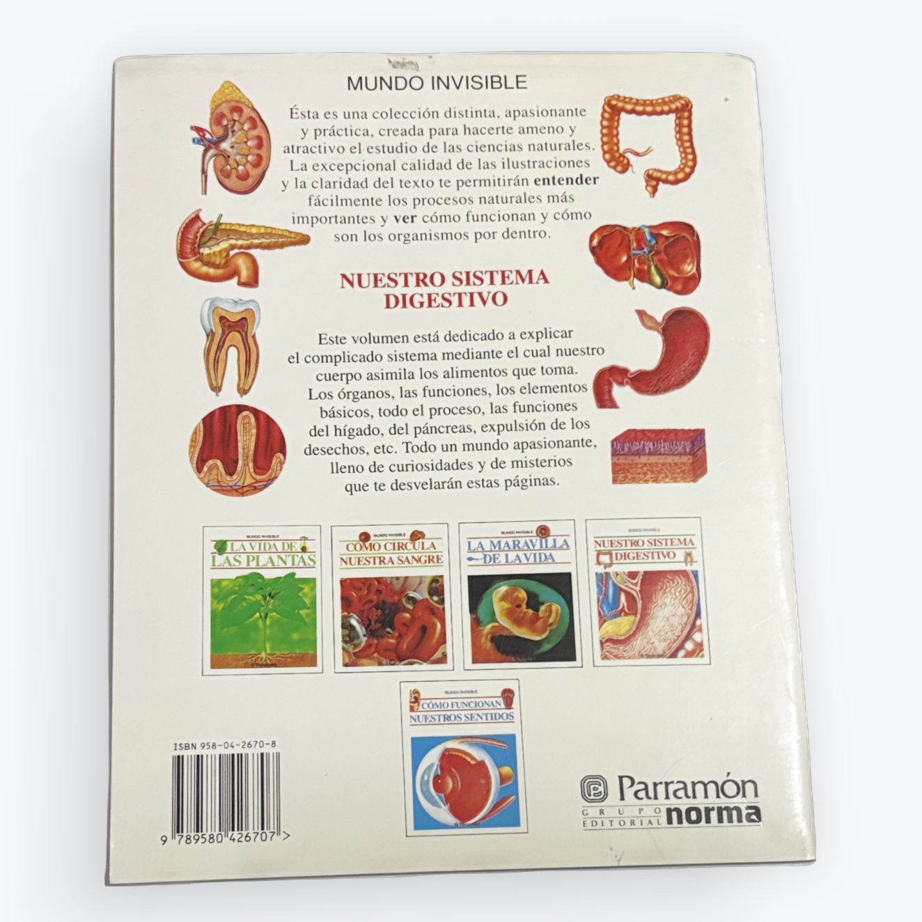 The back cover of a Spanish-language book titled 'Mundo Invisible' by Norma Paramon, featuring anatomical illustrations of the digestive system and several small book covers, photographed on a clean white background.